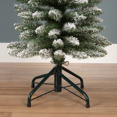 Pencil Pine Snowy H150cm - image 5