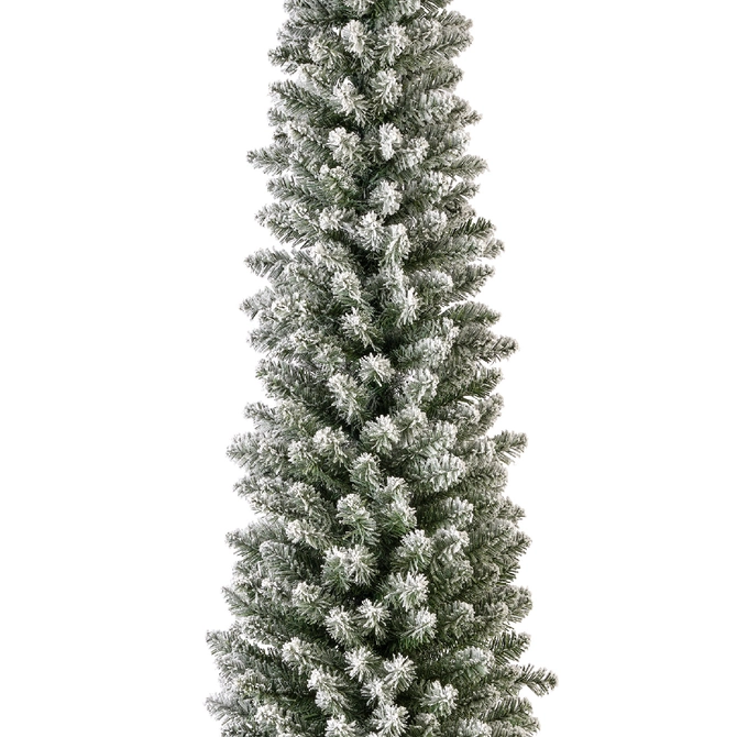Pencil Pine Snowy H210cm - image 3