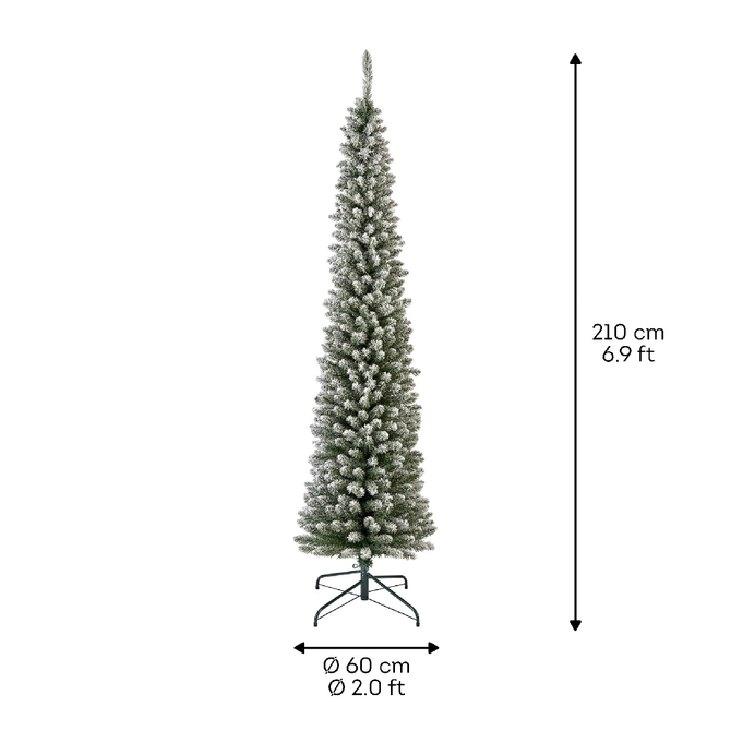 Pencil Pine Snowy H210cm - image 4