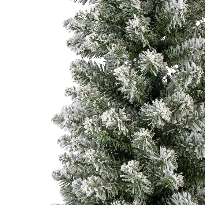 Pencil Pine Snowy H210cm - image 6