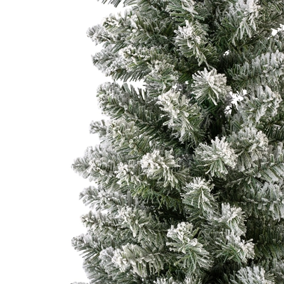 Pencil Pine Snowy H210cm - image 6