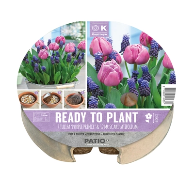 PLANT-O-MAT TRAY 24 CM Z9