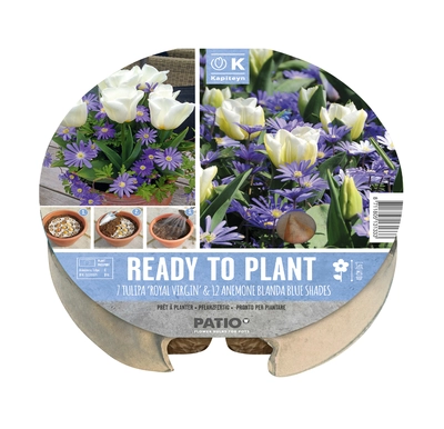 PLANT-O-MAT TULIPA&ANEMONE TRAY 24 CM