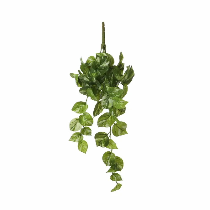 Pothos hanging green - l58xw20xh14cm - image 2