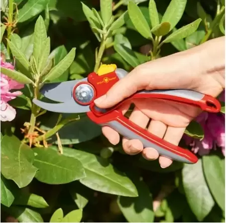 Premium Plus Bypass Secateurs - image 2