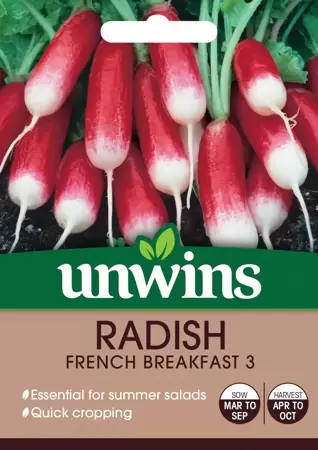 Radish French Breakfast 3 - image 1