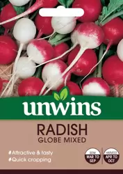 Radish Globe Mixed - image 1