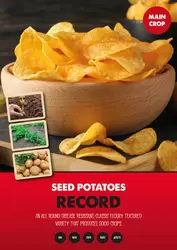 Record maincrop