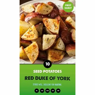 Red Duke Of York First Early 2kg