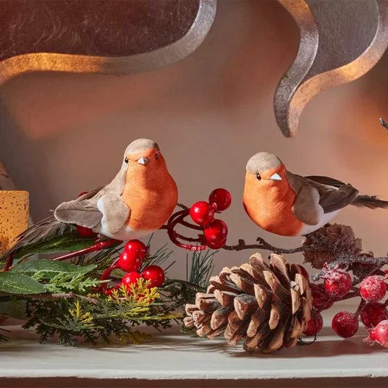 Robin Decor, 2pk