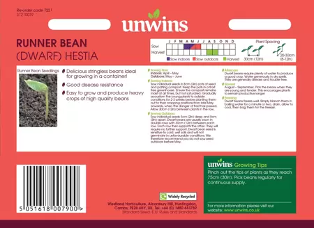 Runner Bean (Dwarf) Hestia - image 2