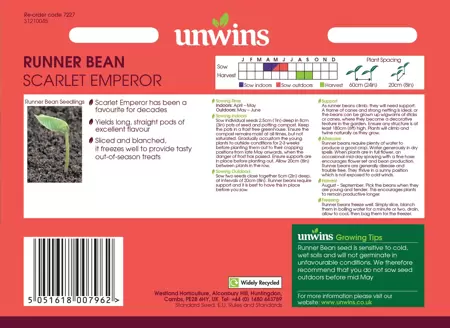 Runner Bean Scarlet Emperor - image 2