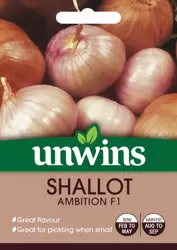 Shallot Ambition F1 - image 1