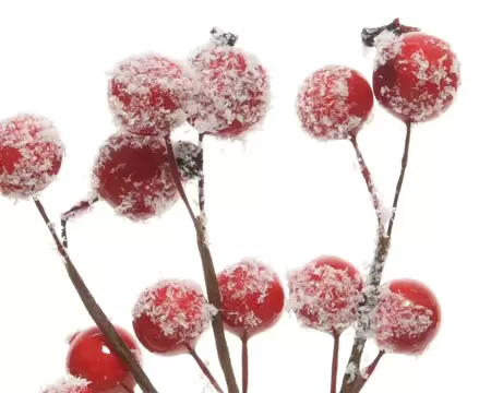 Spray foam snow berries Pack of 3 - image 2