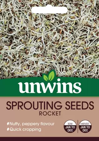 Sprouting Seeds Rocket - image 1