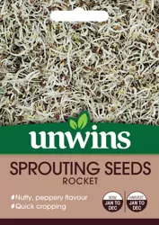 Sprouting Seeds Rocket - image 1