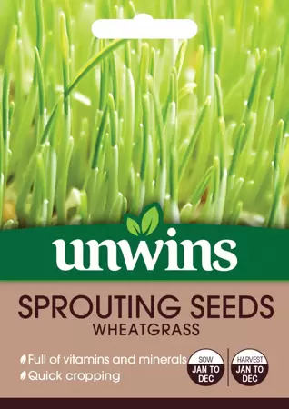 Sprouting Seeds Wheatgrass - image 1