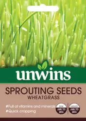 Sprouting Seeds Wheatgrass - image 1