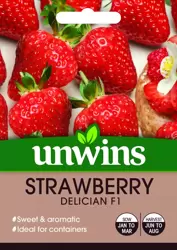 Strawberry Delician - image 1