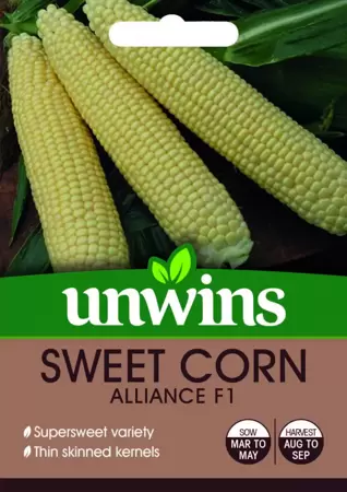 Sweet Corn Alliance F1 - image 1