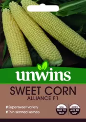 Sweet Corn Alliance F1 - image 1