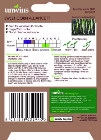 Sweet Corn Alliance F1 - image 2