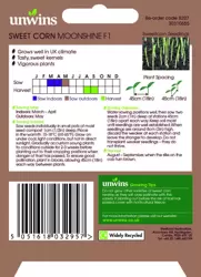 Sweet Corn Moonshine F1 - image 2