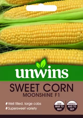 Sweet Corn Moonshine F1 - image 1