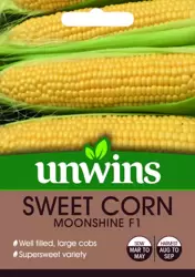 Sweet Corn Moonshine F1 - image 2