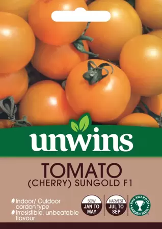 Tomato (Cherry) Sungold F1 - image 1
