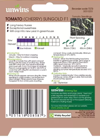 Tomato (Cherry) Sungold F1 - image 2