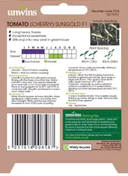 Tomato (Cherry) Sungold F1 - image 2