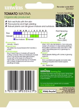 Tomato (Round) Matina (Organic) - image 2