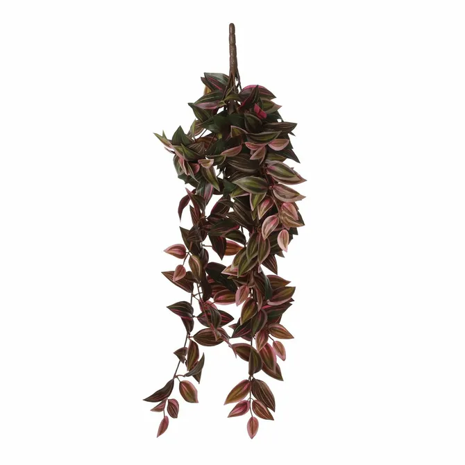 Tradescantia hanging bordeaux - l54xw20xh15cm - image 2