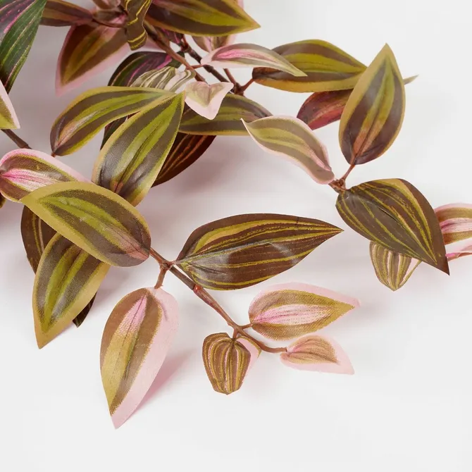 Tradescantia hanging bordeaux - l54xw20xh15cm - image 4