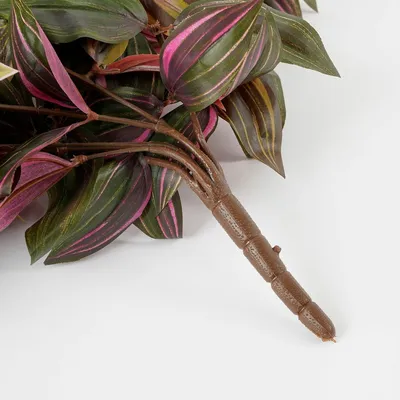 Tradescantia hanging bordeaux - l54xw20xh15cm - image 5