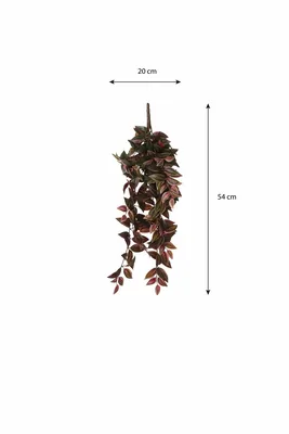 Tradescantia hanging bordeaux - l54xw20xh15cm - image 7