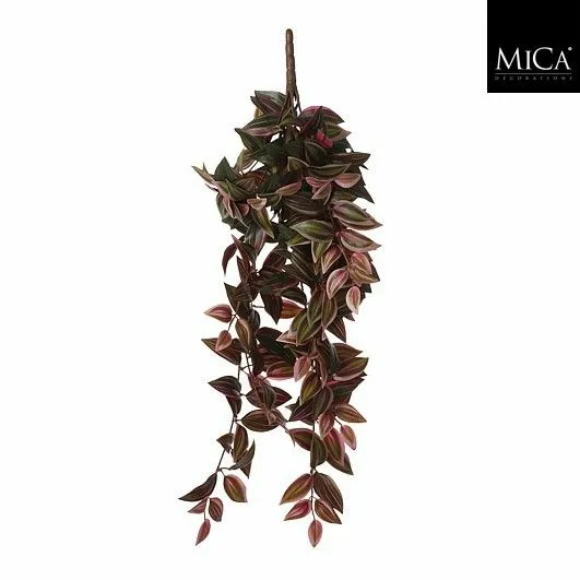 Tradescantia hanging bordeaux - l54xw20xh15cm - image 1