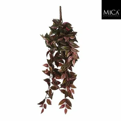Tradescantia hanging bordeaux - l54xw20xh15cm