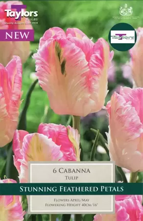TULIP CABANNA