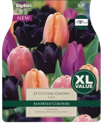 TULIP CUTTING GARDEN