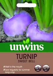 Turnip Sweet Bell - image 2