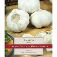 Vegetable Bulbs