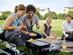 Weber Go Anywhere Portable Gas BBQ - image 2