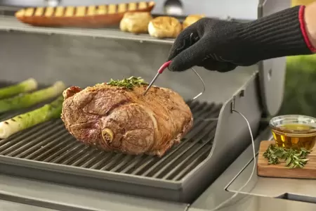 Weber iGrill 2 Thermometer - image 3