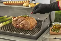 Weber iGrill 2 Thermometer - image 3