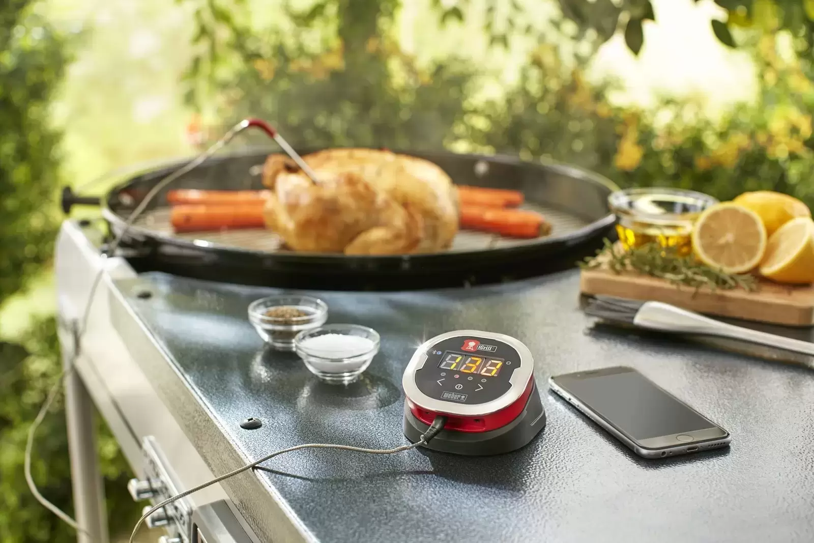 Weber iGrill 2 Thermometer - Fernhill Garden Centre