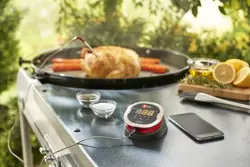 Weber iGrill 2 Thermometer - image 4