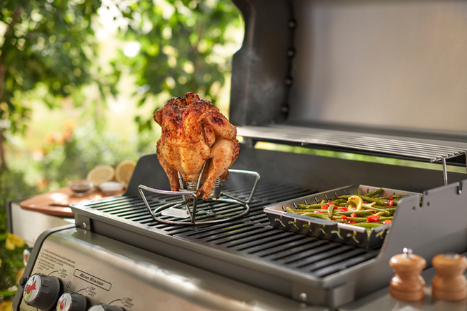 Weber Poultry Roaster - image 2