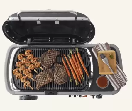 Weber Traveler Barbecue - image 3
